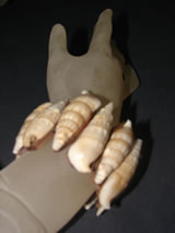 bali accessories jewelry agabong : : bracelet
